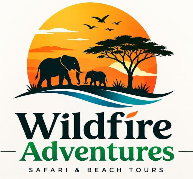 Wildfire Adventures logo